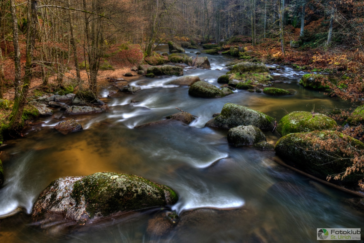Rang_3_Frei_Brunbauer