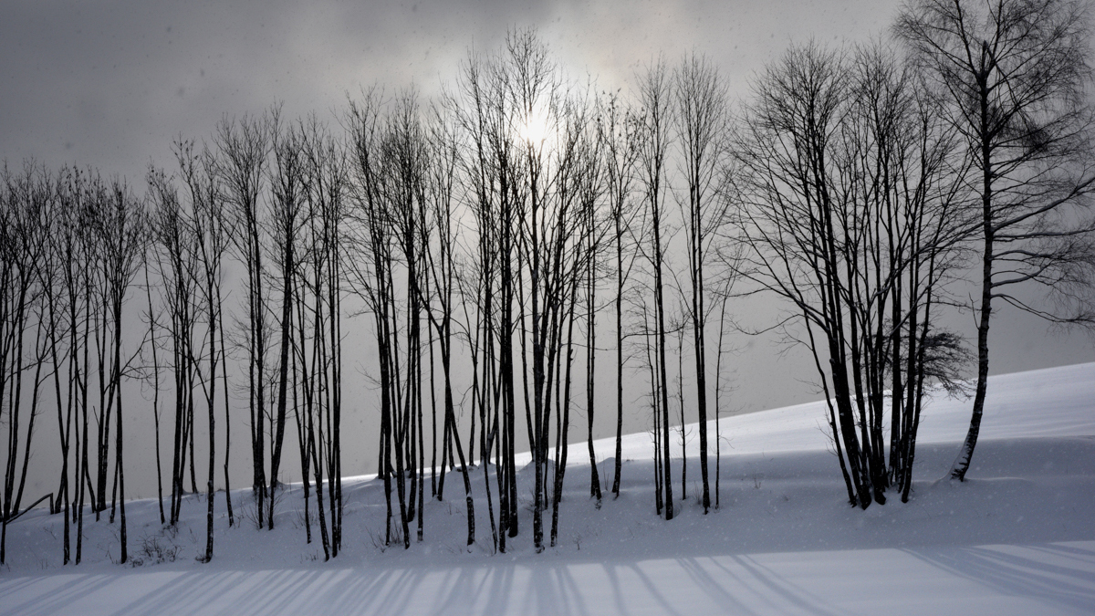 Quartalsbilder 01/2016 Thema Winter