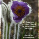 fotoklub-events-pause