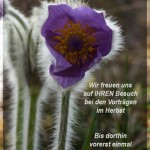 fotoklub-events-pause-320×480