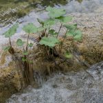 10_Plitvicer-Seen