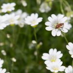 Natur_Slider