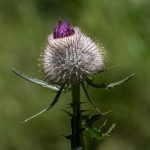 Belluneser Dolomiten_21