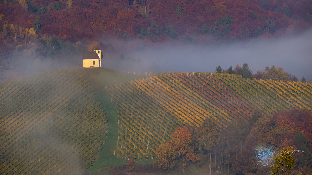 Johann Schörkhuber – Goldener Herbst 11/2016