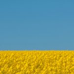 minimalismus