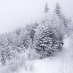 winter-am-damberg-2