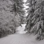 winter-am-damberg-9