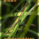 sommerwuensche-2017
