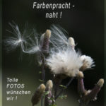 herbst17-fotoklub-ulrich-k