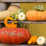 Eder-Alfred_Homepage-Kuerbis-1