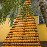 Eder-Alfred_Homepage-Kuerbis-13