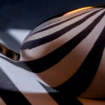 Slider-Linie