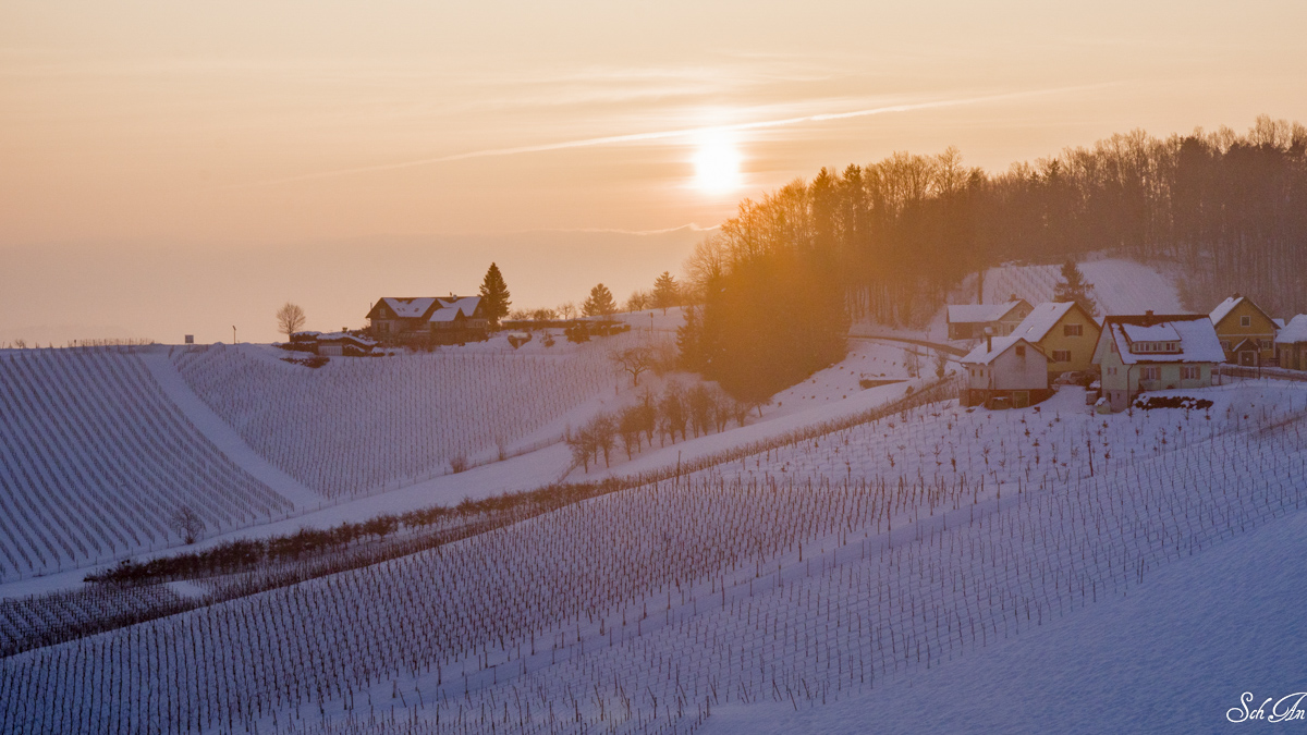 Anneliese Schumm-Flaschker – Südsteiermark im Winter 2/2018