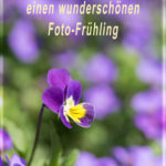 fotoklub-ulrich-frueh18