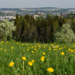 StUlrich042018-2