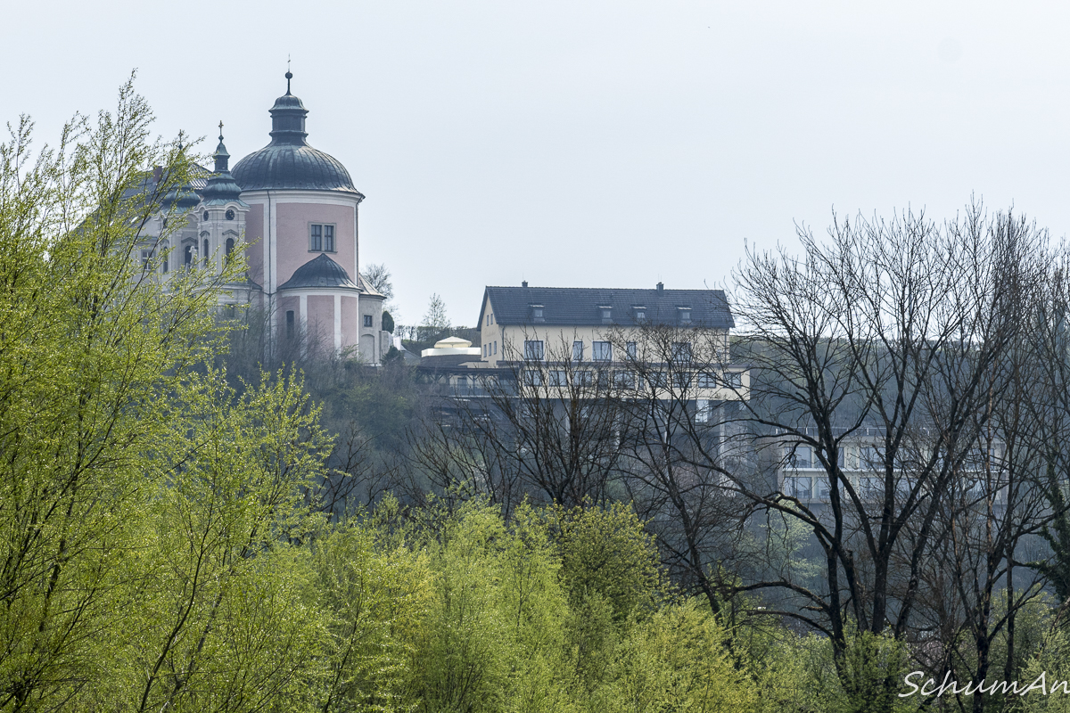 Anneliese Schumm – Gegenlicht 4/2019