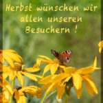 HP-Herbst19
