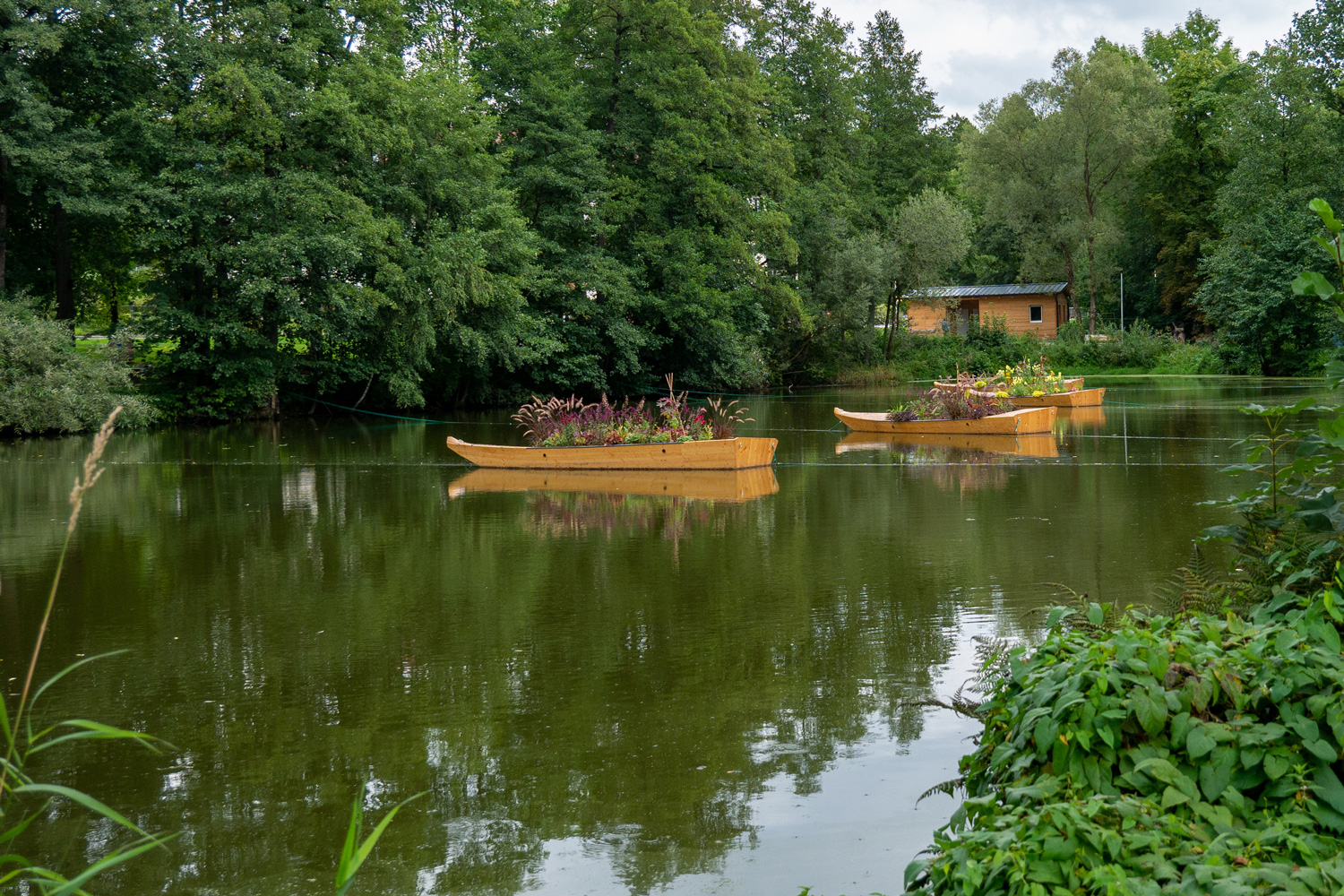 Helmut Rockenschaub – Bio Garten Eden 09/2019