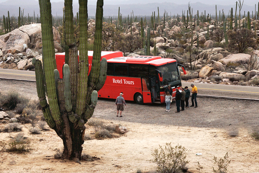 Johann Schwarzlmüller – Rundreise durch Mexico 02/2020