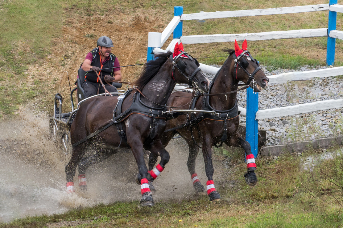 Monatsbilder 07/2020 Thema: Bewegung