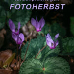 Herbstwuensche20-1-k