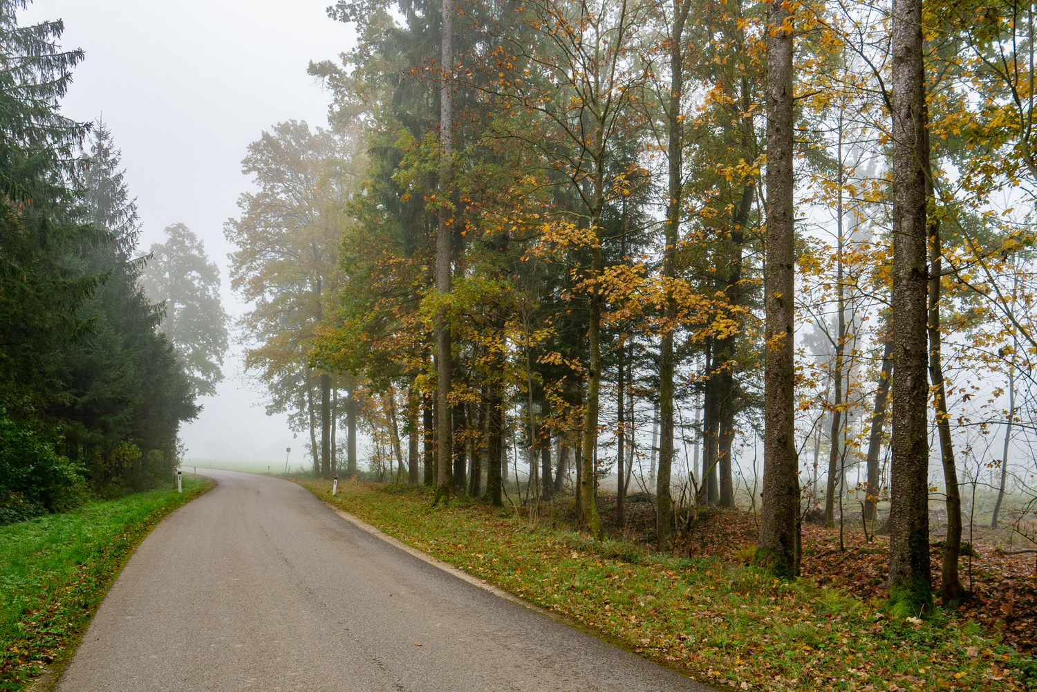 Helmut Rockenschaub – Fotoserie Herbstnebel 11/2020