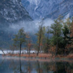 Slider_Herbst