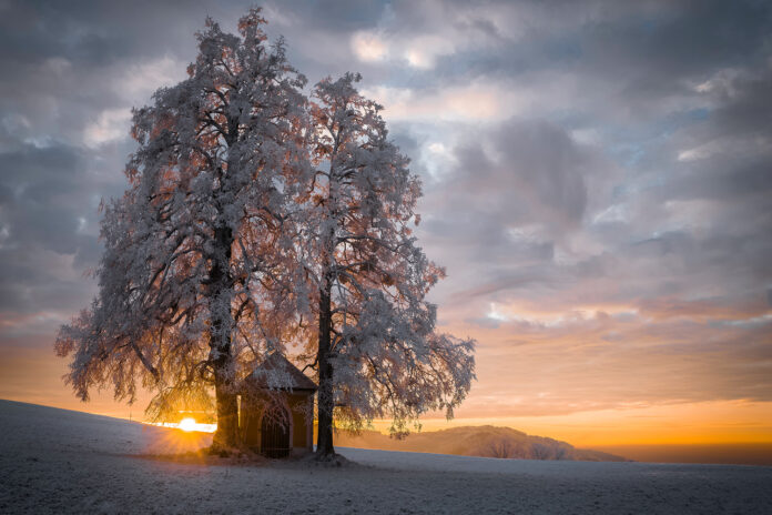 Titel_Wintersonne
