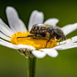Slider_Makro