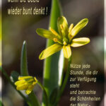 Frühling beim Fotoklub St. Ulrich