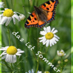 HPTitel-Juli21-1