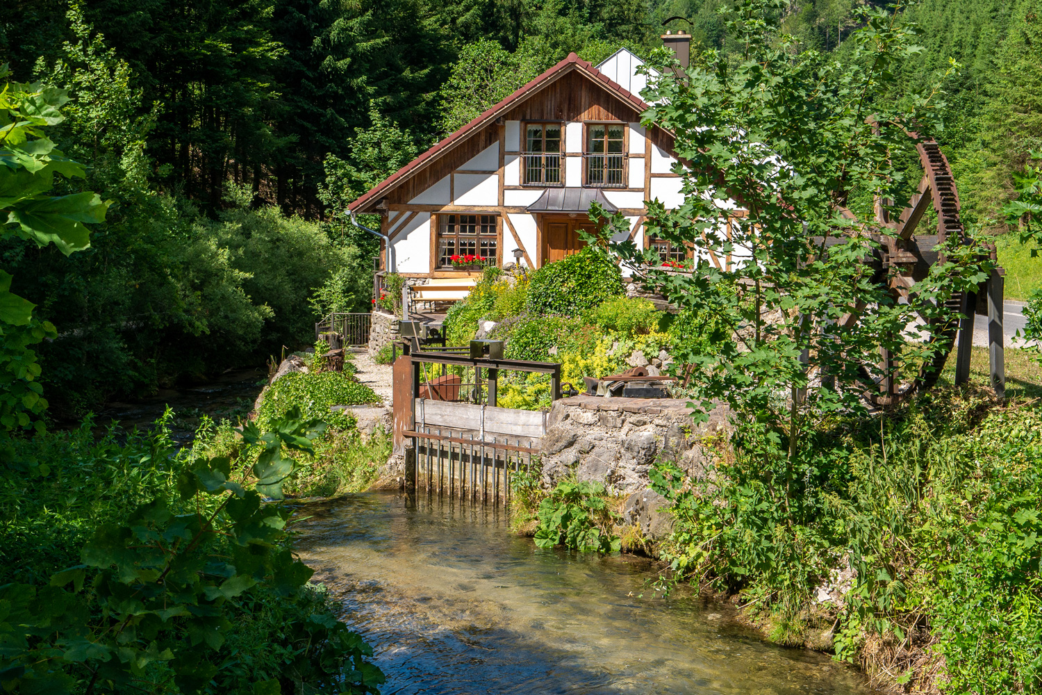 Helmut Rockenschaub – Natur und Handwerk in Ybbsitz 07/2021