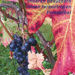 HPherbst21-1