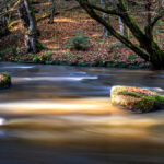Slider_Frei6