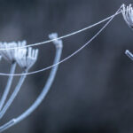 Eis_Slider
