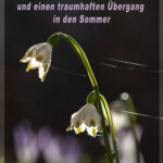 fotoklub-ulrich-04-22