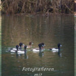 HP-Titel-Winter23