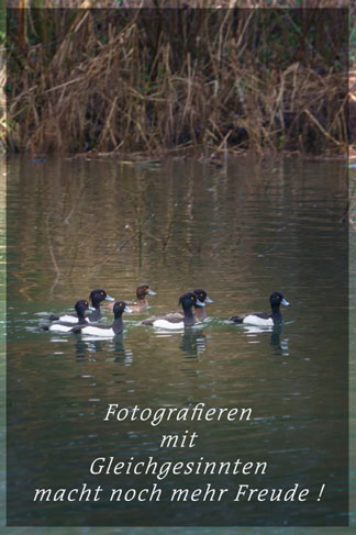 Fotoklub St. Ulrich Winter 2023