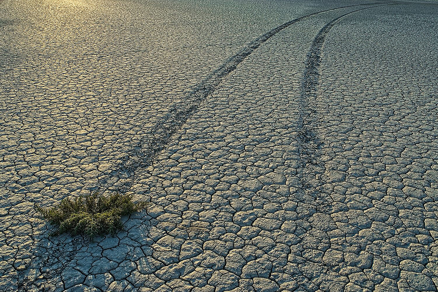 Vereinsmeisterschaft 2022 – Thema: STRUKTUR