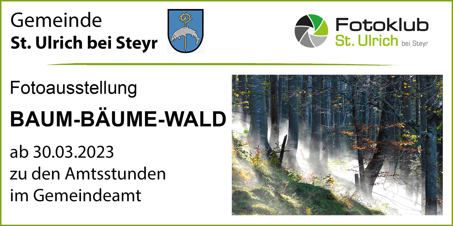 Fotoausstellung BAUM-BÄUME-WALD in St. Ulrich