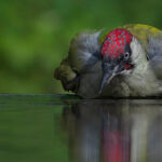 Slider_Frei 6
