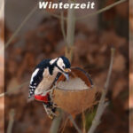 fotoklub-ulrich-winter-2024