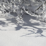 winter10