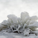 winter13
