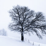 winter3