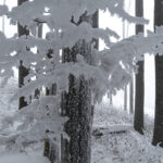 winter5