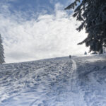 winter8