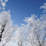 winter9