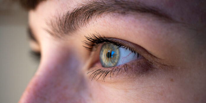 Auge_Titel