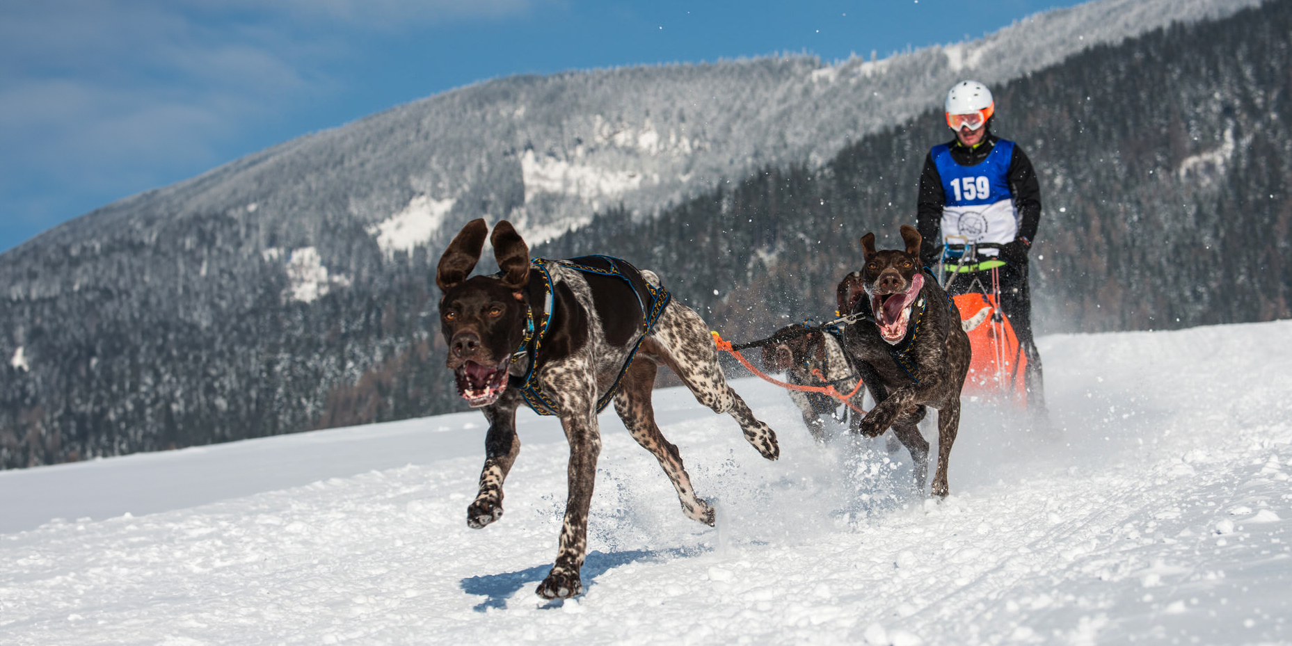 Vereinsmeisterschaft 2023 – Thema: WINTERSPORT